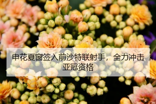 申花夏窗签入前沙特联射手，全力冲击亚冠资格